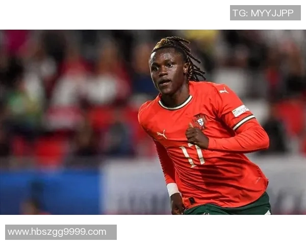 葡萄牙3-0完胜德国，纳斯塔西奇闪耀全场，葡萄牙开启辉煌新篇章